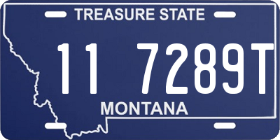 MT license plate 117289T