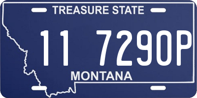 MT license plate 117290P