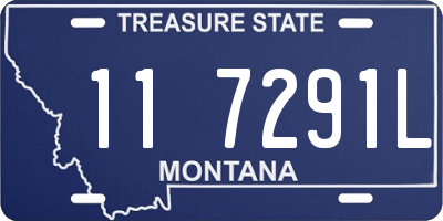 MT license plate 117291L