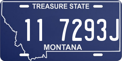 MT license plate 117293J