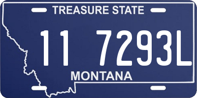 MT license plate 117293L