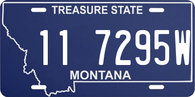 MT license plate 117295W