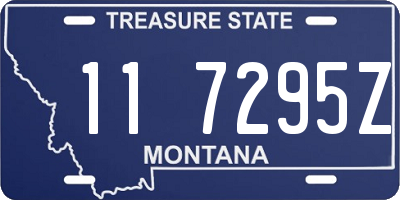 MT license plate 117295Z