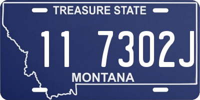 MT license plate 117302J