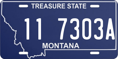 MT license plate 117303A
