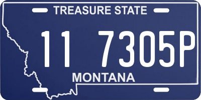 MT license plate 117305P