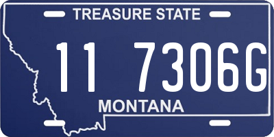 MT license plate 117306G