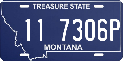 MT license plate 117306P