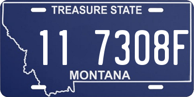 MT license plate 117308F