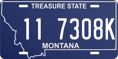 MT license plate 117308K