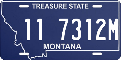MT license plate 117312M