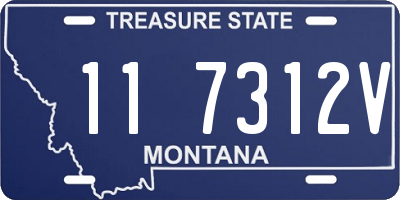 MT license plate 117312V