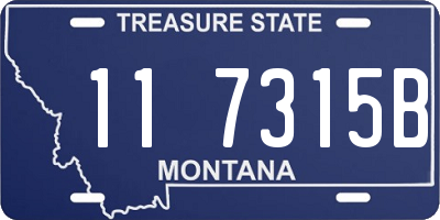 MT license plate 117315B