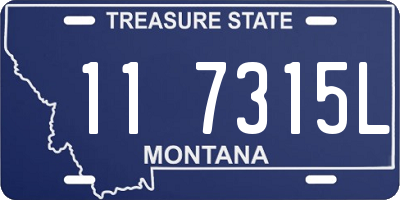 MT license plate 117315L