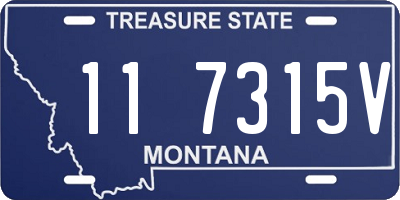 MT license plate 117315V