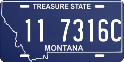 MT license plate 117316C