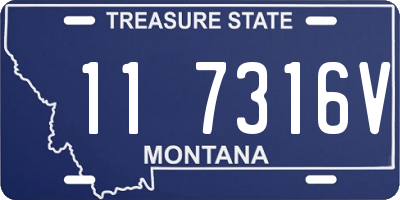 MT license plate 117316V