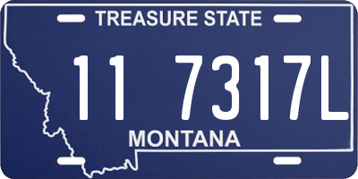 MT license plate 117317L