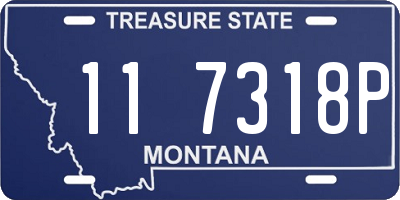 MT license plate 117318P