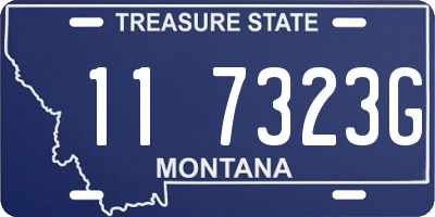 MT license plate 117323G