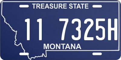 MT license plate 117325H