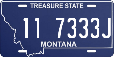 MT license plate 117333J