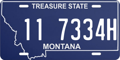 MT license plate 117334H