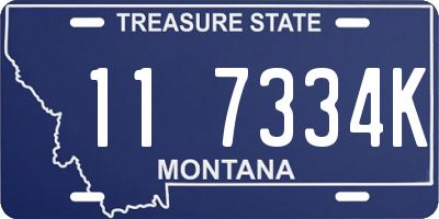 MT license plate 117334K