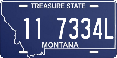 MT license plate 117334L