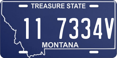 MT license plate 117334V