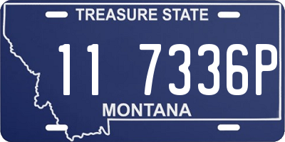 MT license plate 117336P