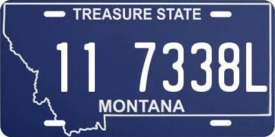 MT license plate 117338L