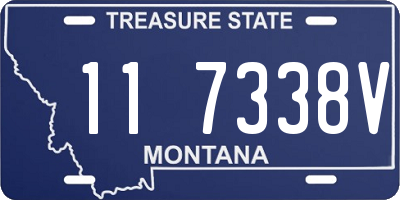 MT license plate 117338V