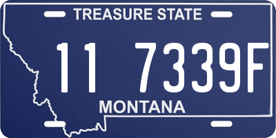 MT license plate 117339F