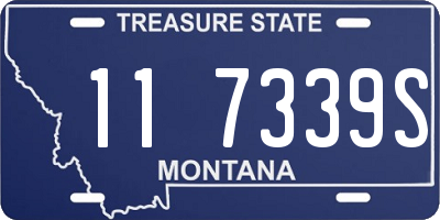 MT license plate 117339S