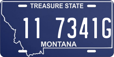 MT license plate 117341G