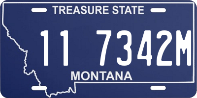 MT license plate 117342M