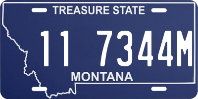 MT license plate 117344M