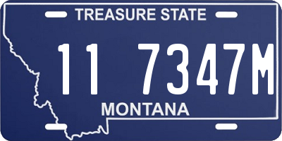 MT license plate 117347M