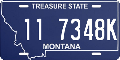 MT license plate 117348K