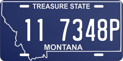 MT license plate 117348P
