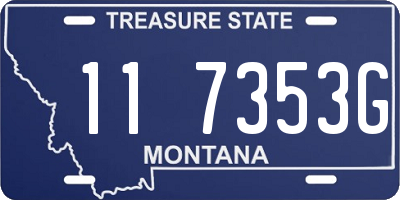 MT license plate 117353G