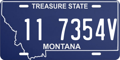 MT license plate 117354V