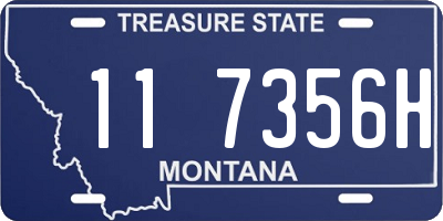 MT license plate 117356H