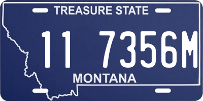 MT license plate 117356M