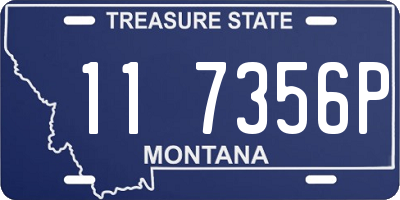 MT license plate 117356P