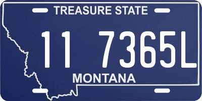 MT license plate 117365L