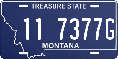 MT license plate 117377G