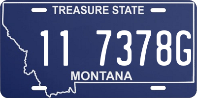 MT license plate 117378G