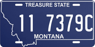 MT license plate 117379C